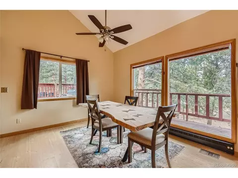 16 Blueberry Trl, Bailey, CO 80421 photo 7