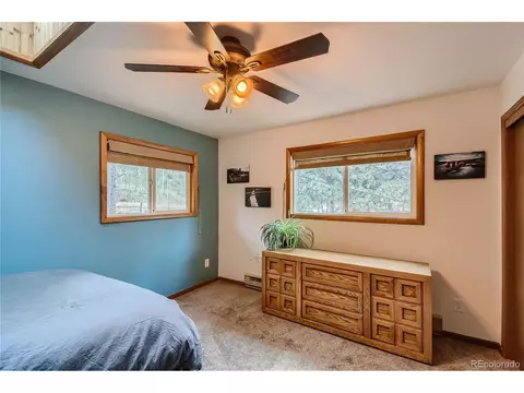16 Blueberry Trl, Bailey, CO 80421 photo 13