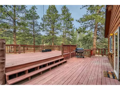 16 Blueberry Trl, Bailey, CO 80421 photo 22