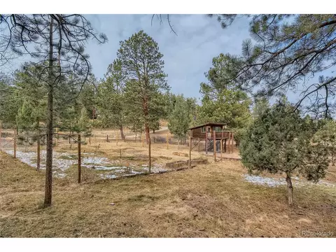 16 Blueberry Trl, Bailey, CO 80421 photo 24