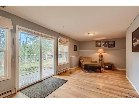 16 Blueberry Trl, Bailey, CO 80421 photo 18