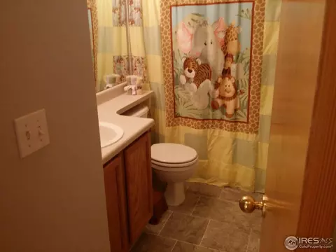 10538 Devonshire St, Firestone, CO 80504 photo 23