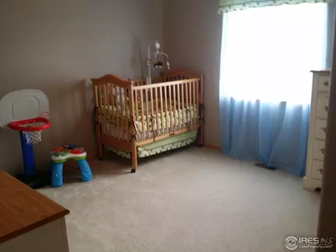 10538 Devonshire St, Firestone, CO 80504 photo 20