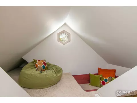 1107 Cedar Ave, Boulder, CO 80304 photo 15