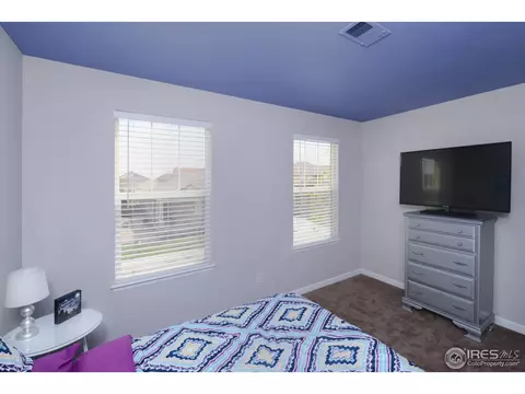 5128 Mt Buchanan Ave, Frederick, CO 80504 photo 18