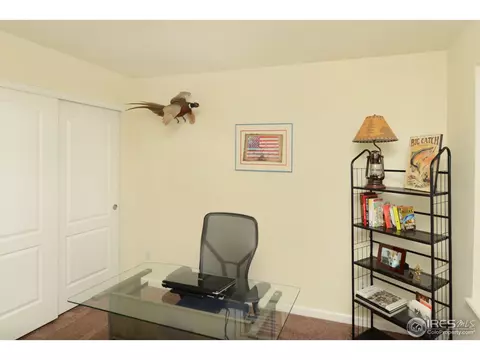 5128 Mt Buchanan Ave, Frederick, CO 80504 photo 19
