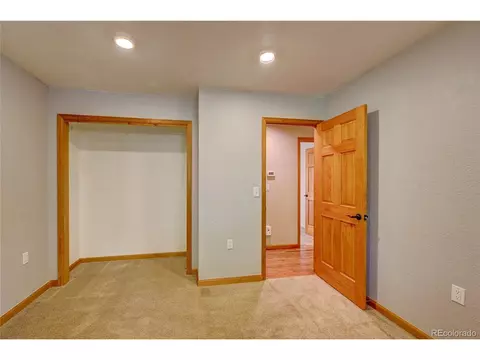 272 Impala Trl, Bailey, CO 80421 photo 25