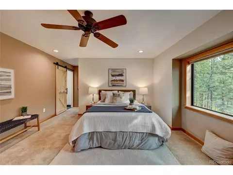 272 Impala Trl, Bailey, CO 80421 photo 19