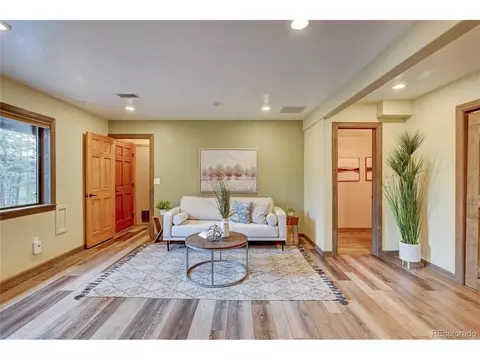 272 Impala Trl, Bailey, CO 80421 photo 28