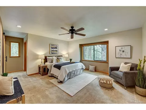 272 Impala Trl, Bailey, CO 80421 photo 17