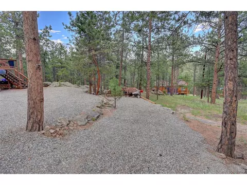 272 Impala Trl, Bailey, CO 80421 photo 38
