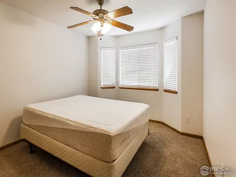 353 Amber Dr, Windsor, CO 80550 photo 8