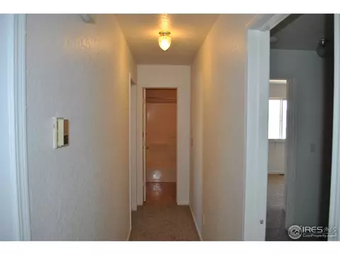 104 7th St, Windsor, CO 80550 photo 13