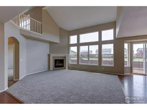 5802 Connor St, Timnath, CO 80547 photo 21