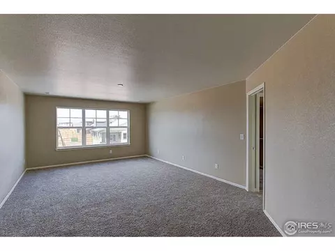 5802 Connor St, Timnath, CO 80547 photo 16