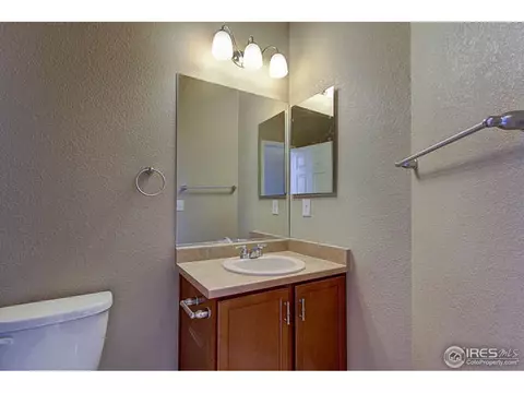 5802 Connor St, Timnath, CO 80547 photo 13