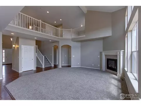 5802 Connor St, Timnath, CO 80547 photo 23