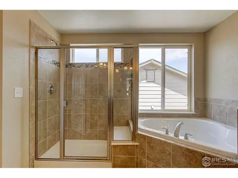 5802 Connor St, Timnath, CO 80547 photo 19
