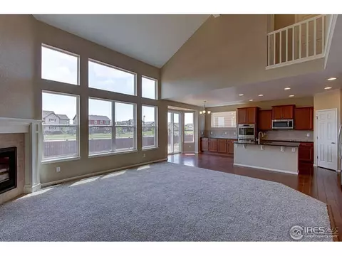 5802 Connor St, Timnath, CO 80547 photo 22