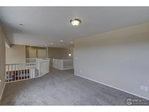 5802 Connor St, Timnath, CO 80547 photo 15