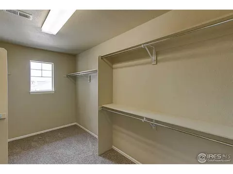 5802 Connor St, Timnath, CO 80547 photo 20
