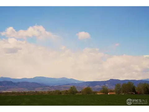 5802 Connor St, Timnath, CO 80547 photo 28