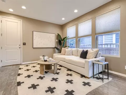 11027 E 28th Pl, Denver, CO 80238 photo 8