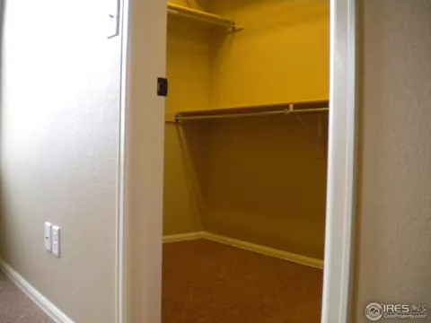 1584 Harpendon Ct, Windsor, CO 80550 photo 8