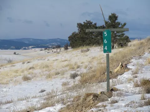 564 Chickamauga Trl, Hartsel, CO 80449