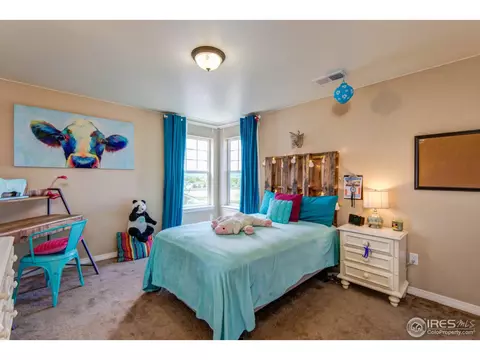 10475 Bountiful St, Firestone, CO 80504 photo 29