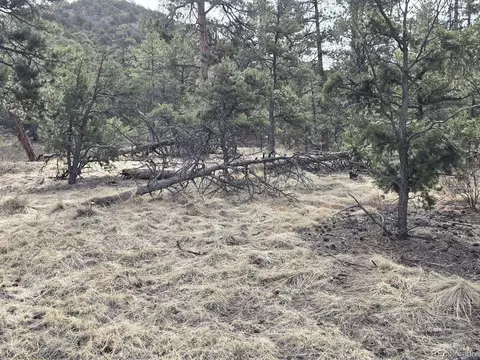 1675 J Path, Cotopaxi, CO 81223 photo 24
