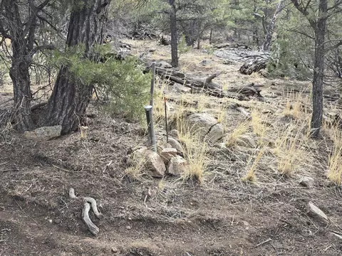 1675 J Path, Cotopaxi, CO 81223 photo 3