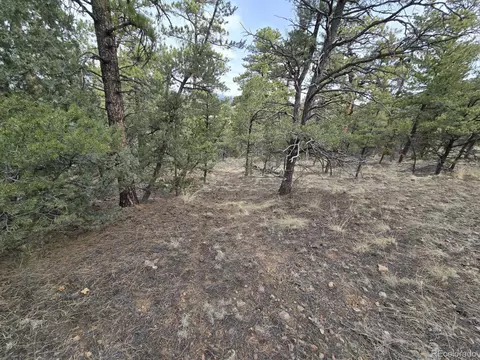 1675 J Path, Cotopaxi, CO 81223 photo 18