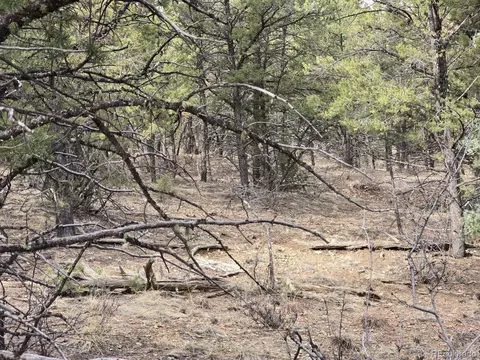 1675 J Path, Cotopaxi, CO 81223 photo 19