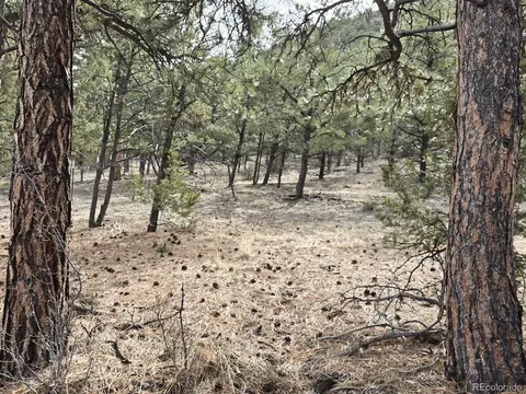 1675 J Path, Cotopaxi, CO 81223 photo 22