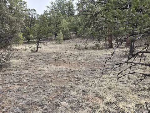 1675 J Path, Cotopaxi, CO 81223 photo 26