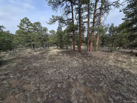 1675 J Path, Cotopaxi, CO 81223 photo 27