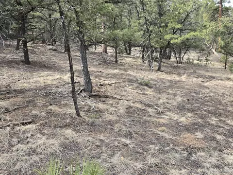 1675 J Path, Cotopaxi, CO 81223 photo 21