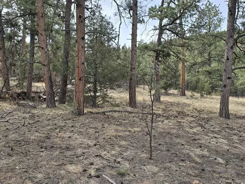 1675 J Path, Cotopaxi, CO 81223 photo 23