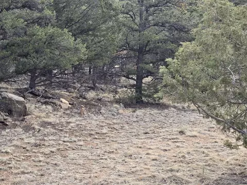 1675 J Path, Cotopaxi, CO 81223 photo 2