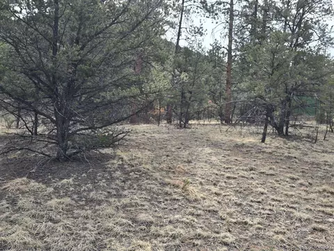 1675 J Path, Cotopaxi, CO 81223 photo 25