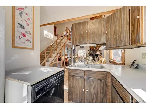 33380 Beverly Rd, Pine, CO 80470 photo 8