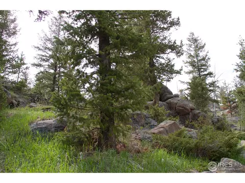 74 Aspen Dr, Lyons, CO 80540 photo 25