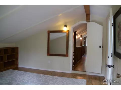 74 Aspen Dr, Lyons, CO 80540 photo 23