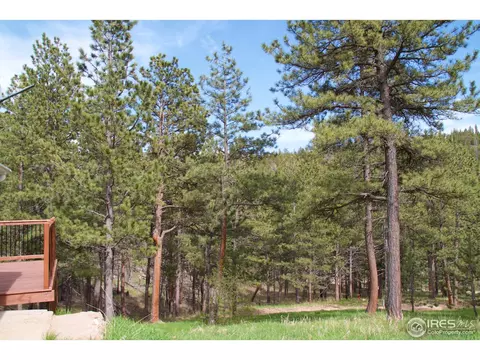 74 Aspen Dr, Lyons, CO 80540 photo 33