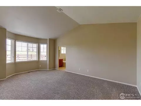 2128 Longfin Ct, Windsor, CO 80550 photo 14