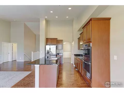 2128 Longfin Ct, Windsor, CO 80550 photo 9