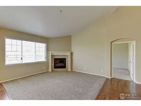 2128 Longfin Ct, Windsor, CO 80550 photo 5