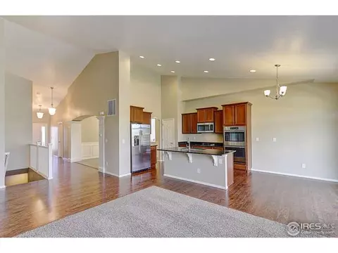 2128 Longfin Ct, Windsor, CO 80550 photo 4