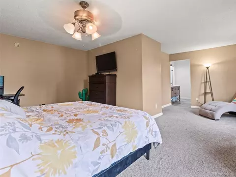 17494 E Prentice Cir, Centennial, CO 80015 photo 12